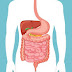 Digestion in MAN
