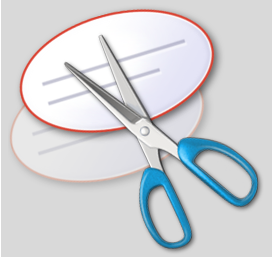 Snipping Tool Icon