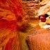 Coloured Canyon, Sinai, Egypt