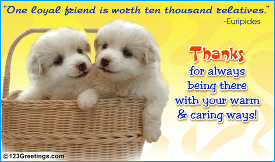 Friendship day quotes,shayari,poems,pictures,wallpapers,greeting cards