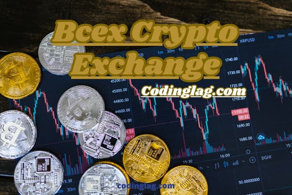 Apa Itu Bcex Crypto Exchange