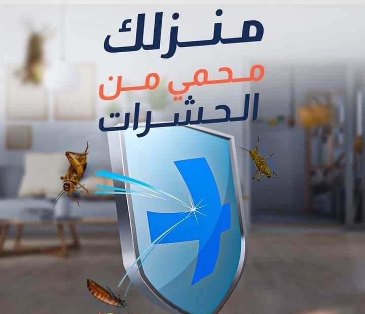 شركة مكافحة حشرات بخميس مشيط