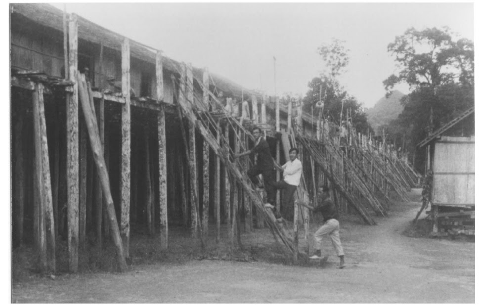 Mengenal Dayak dalam kata-kata: ARSITEKTUR RUMAH BETANG