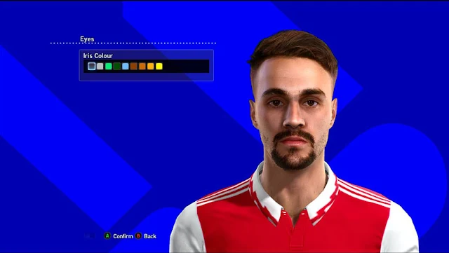 Fábio Vieira Face For PES 2013