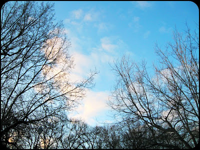 Himlen är sommarblå.