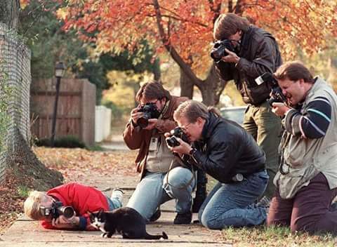 Funny Photographers, Awesome Cameraman clicking photos