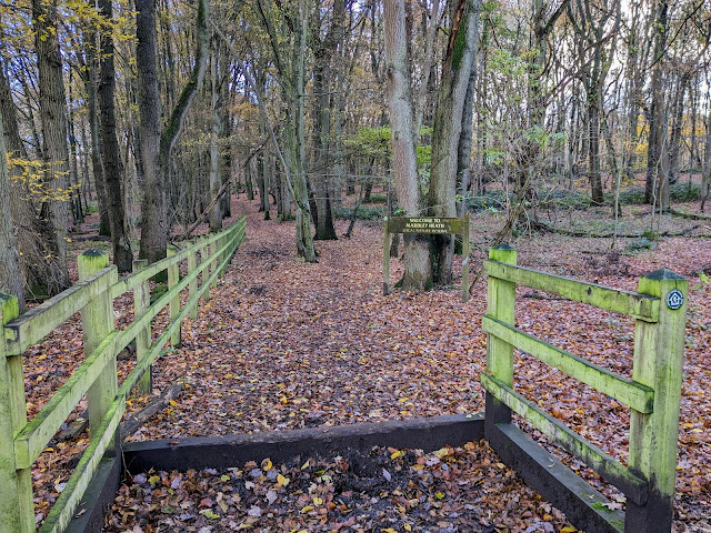 Follow Welwyn bridleway 12 SE through the nature reserve