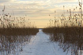 valo, kevät, luonto, nature