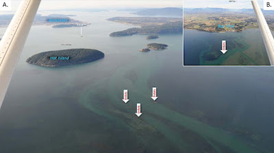 Image A shows Hat Island and Anacortes labeled. Inset Image B, land labeled Bayview. Arrows labeled "debris" point to orange spots in the red and green water.