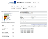 Best Mid Cap Growth Mutual Funds - CCAFX