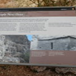 View album