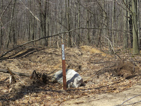 Briar Hill trailhead