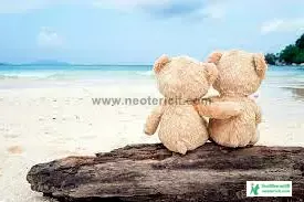 টেডি বিয়ার পিক HD - টেডি বিয়ারের ছবি ডাউনলোড - teddy bear pic - NeotericIT.com - Image no 7