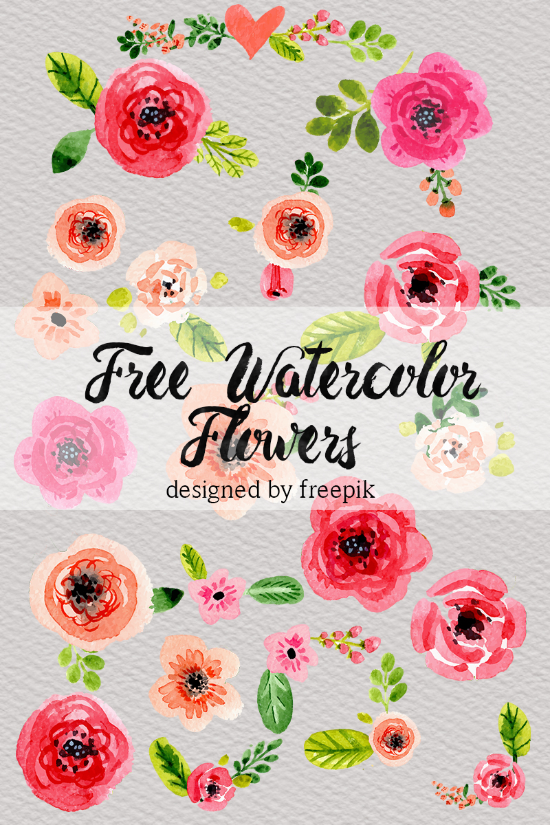 Download DLOLLEYS HELP: Free Watercolor Flowers