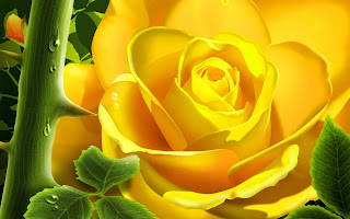 Free Download Flowers Wallpapers Yalow Roses