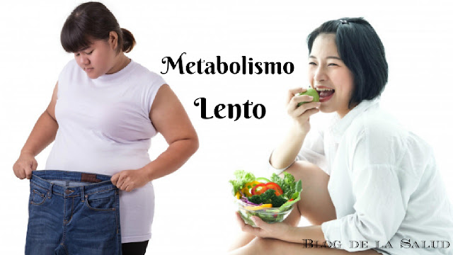 Metabolismo lento