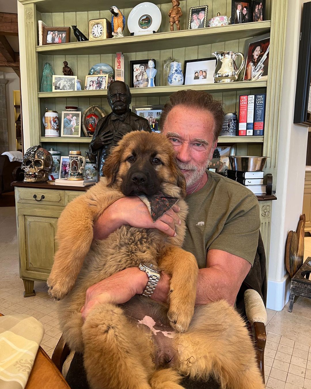 Arnold Schwarzenegger loves his dog Schnitzel