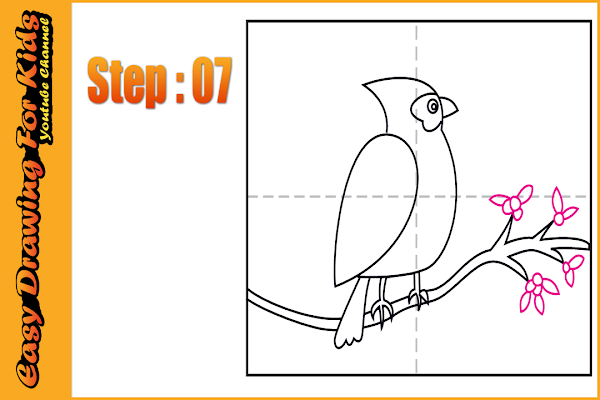 How To Draw a Cardinal Bird Step By Step