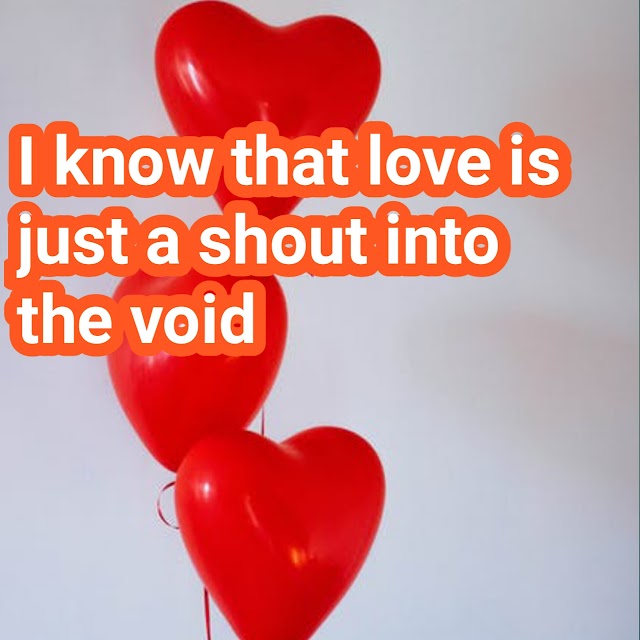 I know that love is just a shout into the void meaning