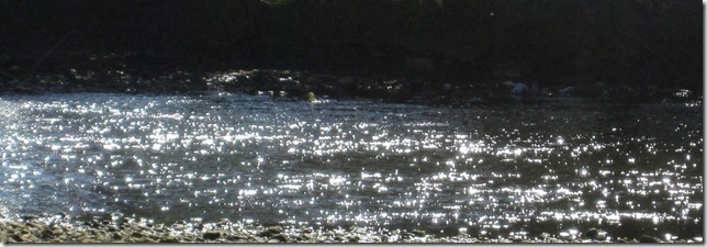 light-1