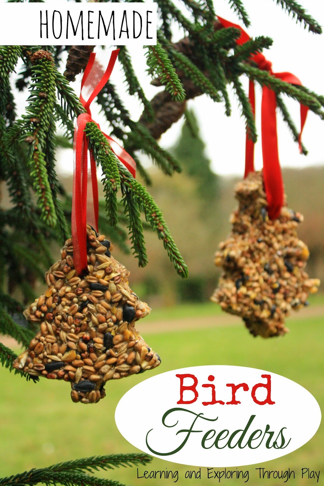 Learning and Exploring Through Play: Homemade Bird Feeders