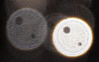 orbs with similar features