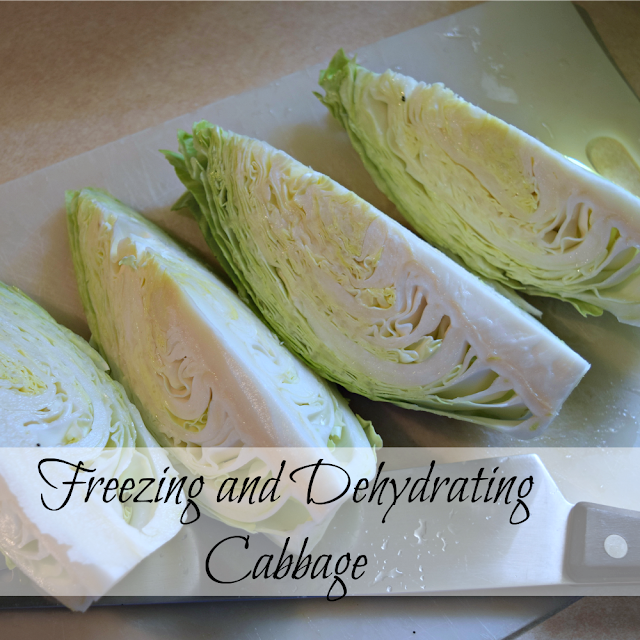 Cabbage from garden to freezer.