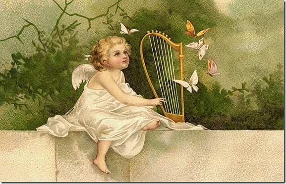 Angels (3)