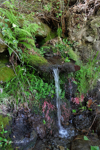 Fuente del Chortal, Jérez del Marquesad