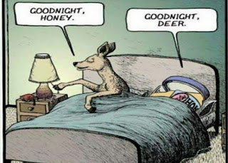 Goodnight Honey And Deer Cartoon Joke.jpg