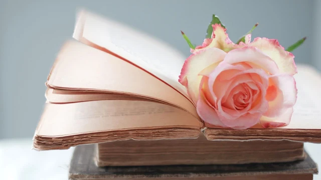 Papel de parede grátis vintage e retro hd para pc, notebook, celular e tablet : Rosa em cima de um livro.