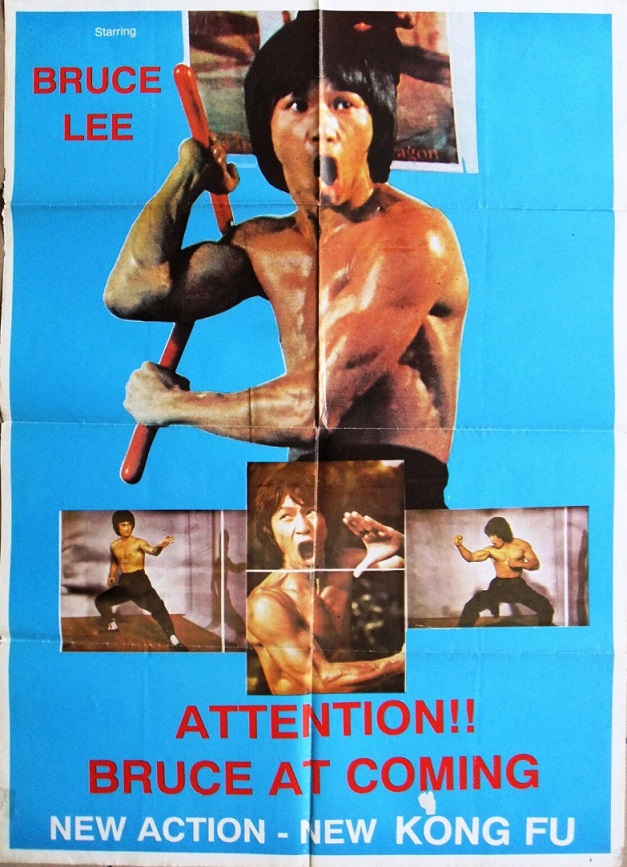 The Real Bruce Lee Collection - 5 Movies : Bruce Lee, Bruce Li, Dragon Lee,  Tommy Lee, Fei Lung, Wang Yu, Various: Movies & TV 