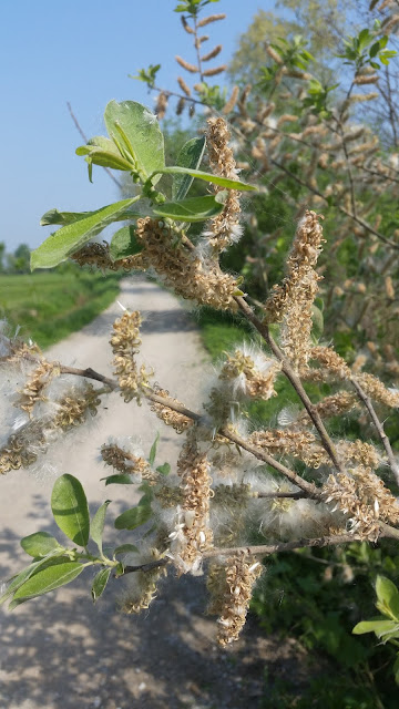 Sulla strada