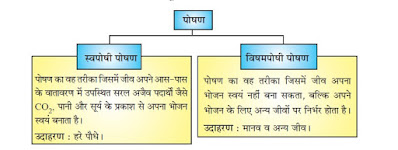 (Notes) Class 10th Bharati Bhawan Biology  Chapter 1 Biological Process  कक्षा 10वीं भारती भवन जीवविज्ञान  अध्याय 1 जैव प्रक्रम नोट्स  BharatiBhawan.org