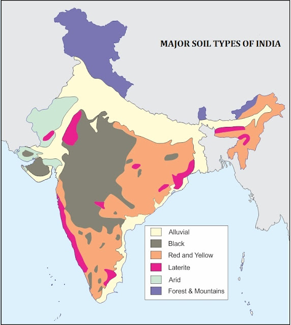 history assignment for class 10