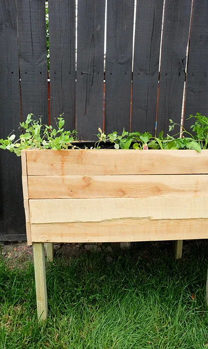 corner of cedar fence picket elevated raised planter