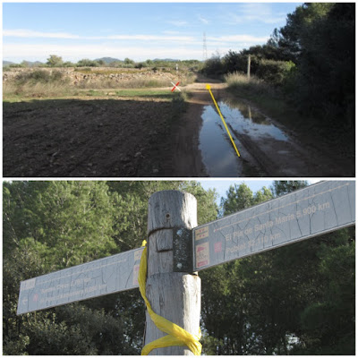 Prenafeta a Santes Creus GR-175 Ruta del Cister, en la ruta de la Capona