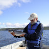Watson Lake Fishing - My Northwest Outdoors: Watson Lakes - September 16, 2012 : Thousands of fish can be dropped in a single flight into water that is inaccessible to other forms of transport.