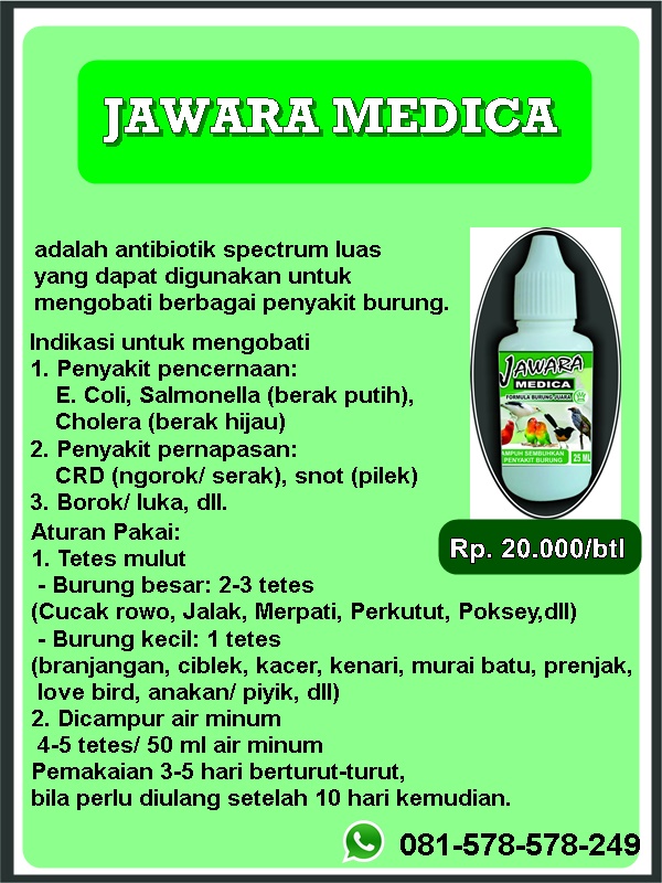 WA 081-578-578-249 obat serak untuk burung cucak ijo 