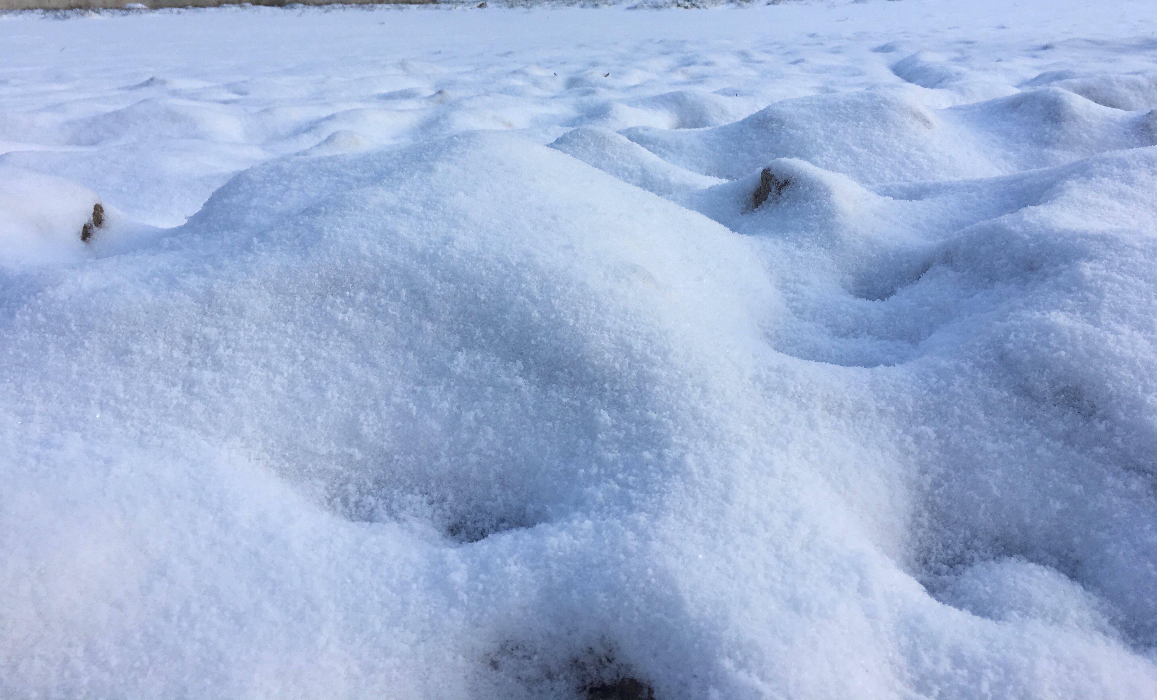 snow