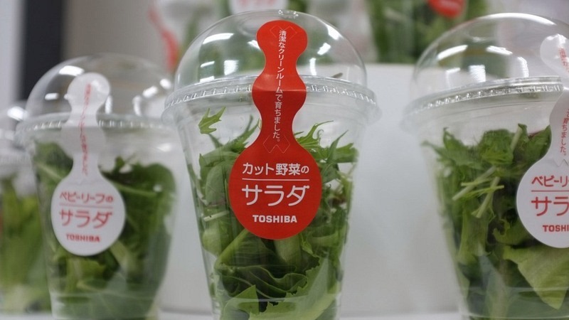 toshiba-salad-package-1