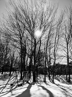 Winter Sun Over Tree And Swing, Sydney, Cape Breton Island