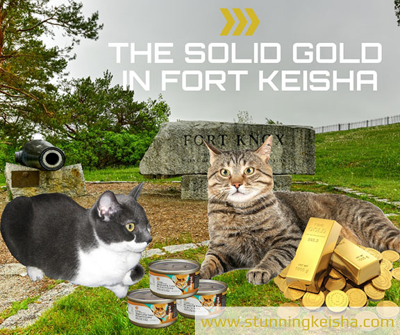 The Solid Gold in Fort Keisha