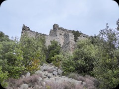 P1060377