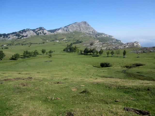 Campas de Arraba en el Parque Natural de Gorbeia (Zeanuri, Bizkaia)