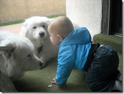 Daniel and the dogs