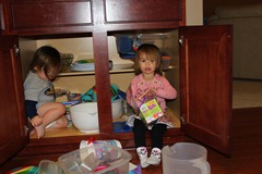 IMG_4331