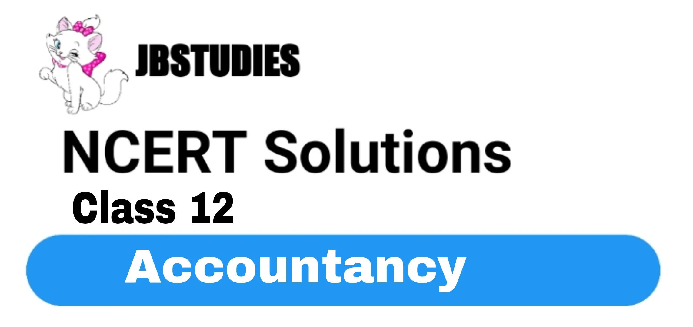 NCERT Solutions for Class 12 Accountancy