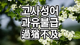과유불급 過猶不及 고사성어 뜻