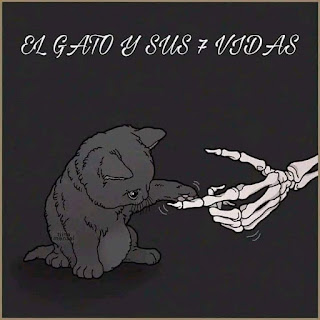 Cuento corto el gato y sus 7 vidas